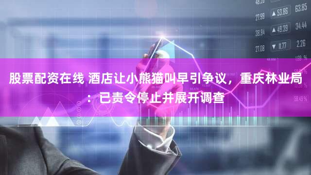股票配资在线 酒店让小熊猫叫早引争议，重庆林业局：已责令停止并展开调查