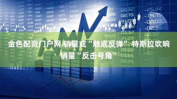 金色配资门户网 销量或“触底反弹” 特斯拉吹响销量“反击号角”