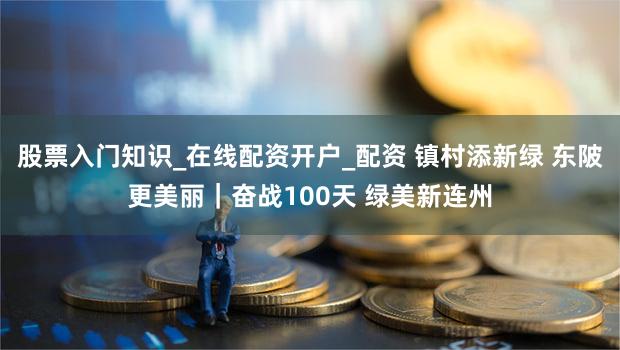 股票入门知识_在线配资开户_配资 镇村添新绿 东陂更美丽｜奋战100天 绿美新连州
