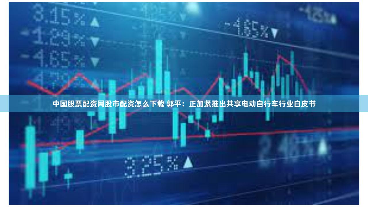 中国股票配资网股市配资怎么下载 郭平：正加紧推出共享电动自行车行业白皮书