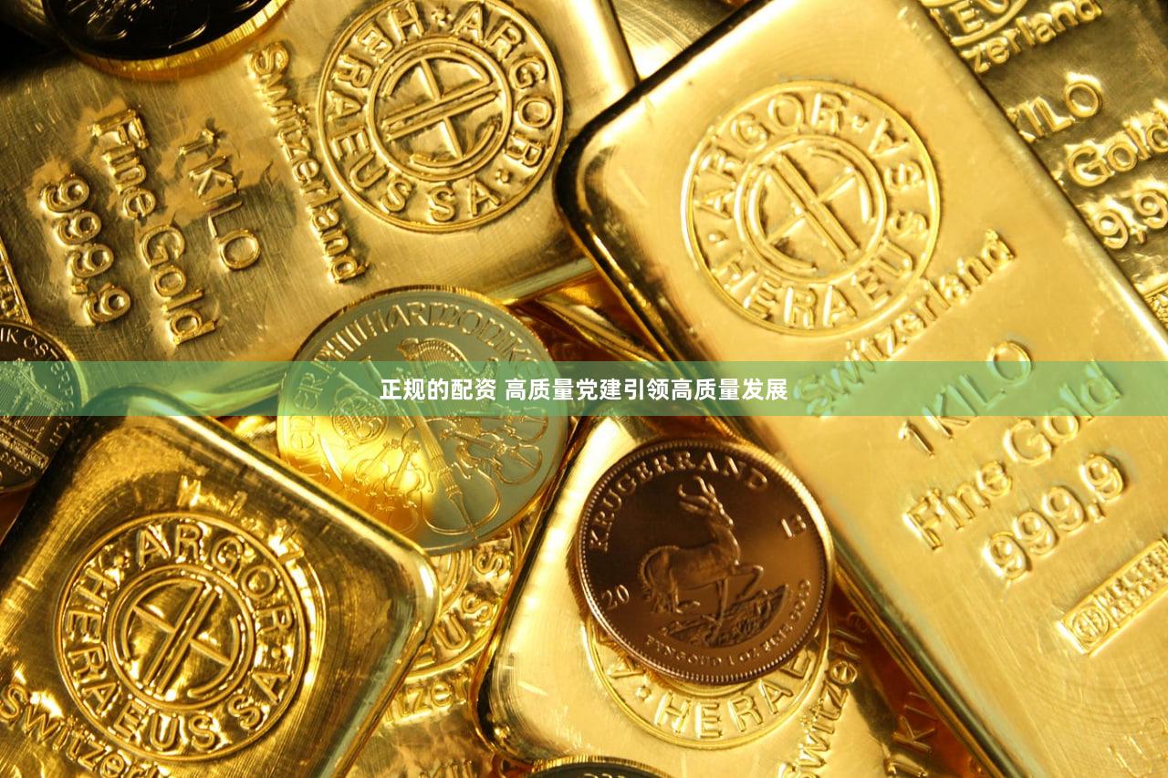 正规的配资 高质量党建引领高质量发展