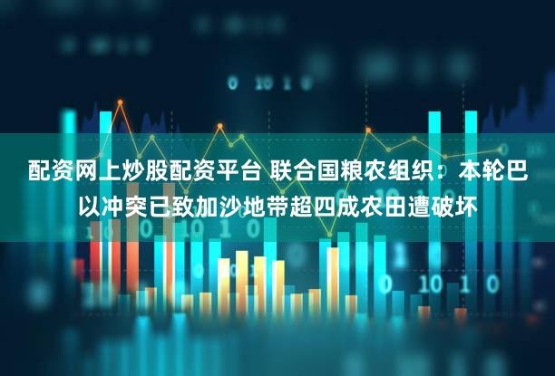 配资网上炒股配资平台 联合国粮农组织：本轮巴以冲突已致加沙地带超四成农田遭破坏