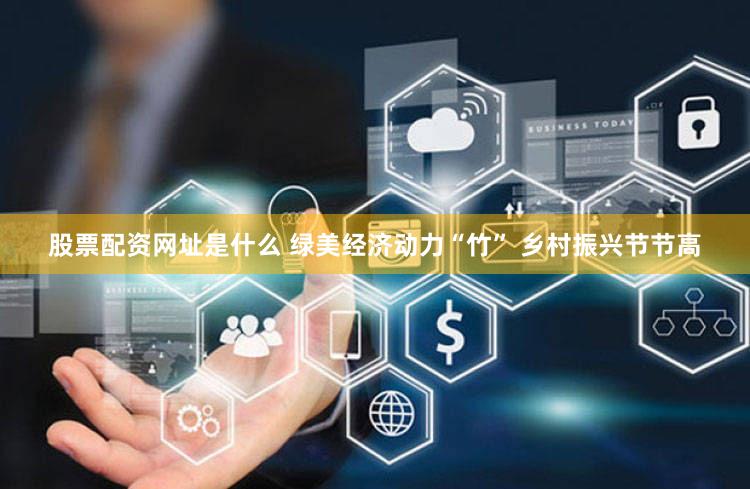 股票配资网址是什么 绿美经济动力“竹” 乡村振兴节节高