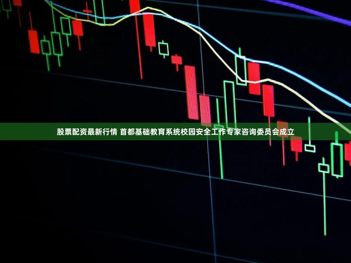 股票配资最新行情 首都基础教育系统校园安全工作专家咨询委员会成立