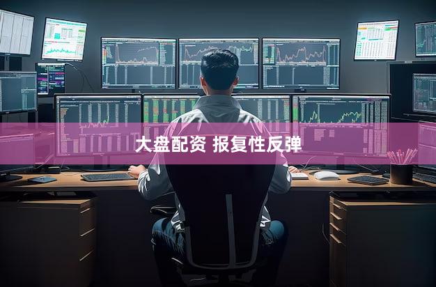 大盘配资 报复性反弹