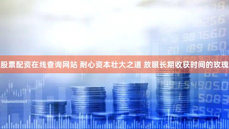 股票配资在线查询网站 耐心资本壮大之道 放眼长期收获时间的玫瑰