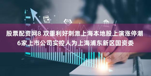 股票配资网8 双重利好刺激上海本地股上演涨停潮 6家上市公司实控人为上海浦东新区国资委