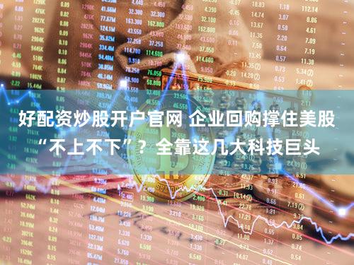 好配资炒股开户官网 企业回购撑住美股“不上不下”?全靠这几大科技巨头