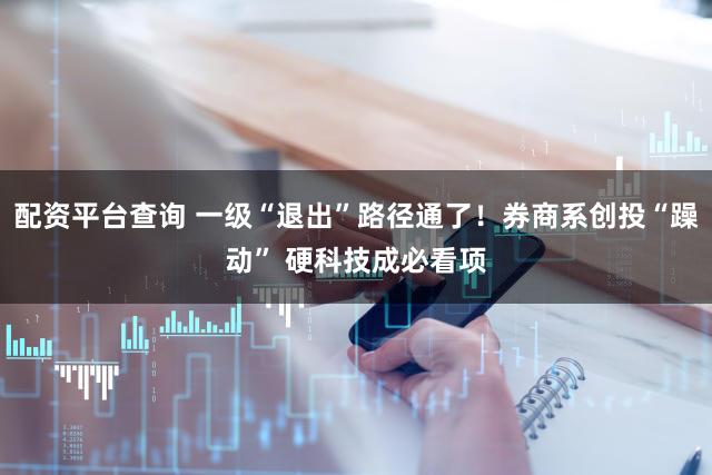 配资平台查询 一级“退出”路径通了！券商系创投“躁动” 硬科技成必看项