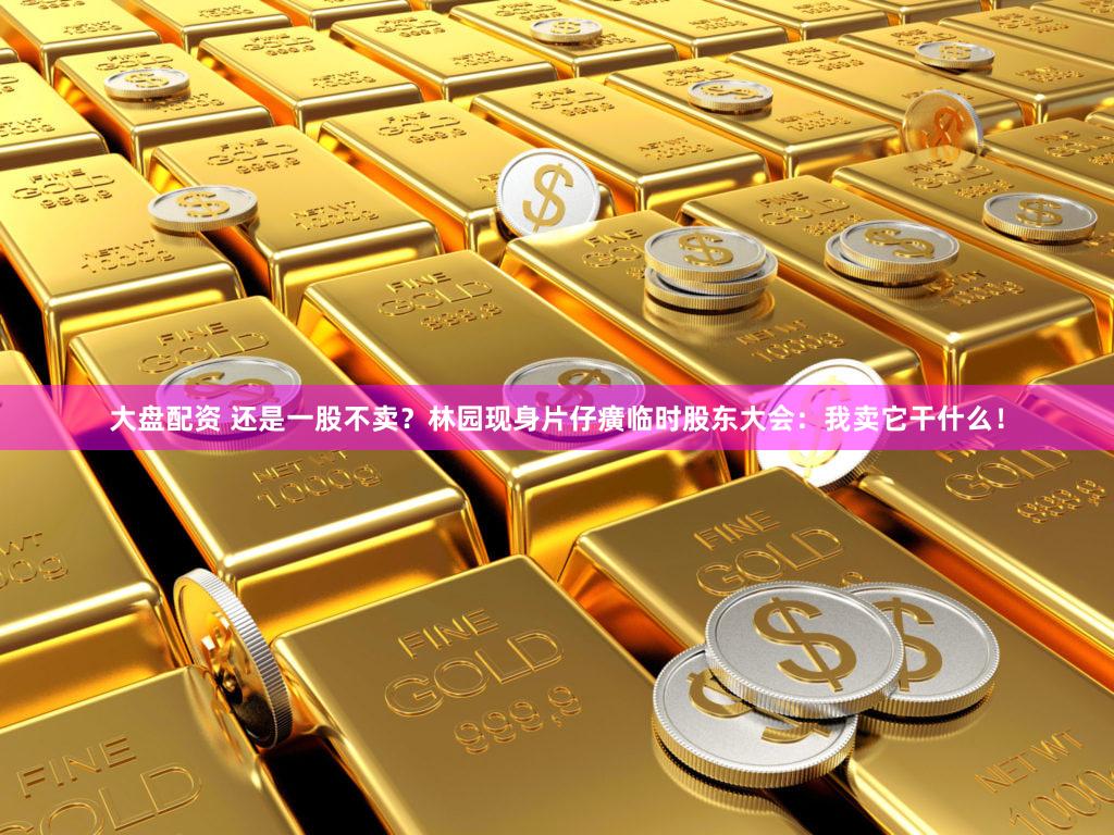 大盘配资 还是一股不卖？林园现身片仔癀临时股东大会：我卖它干什么！