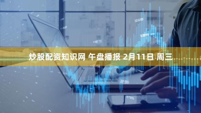 炒股配资知识网 午盘播报 2月11日 周三