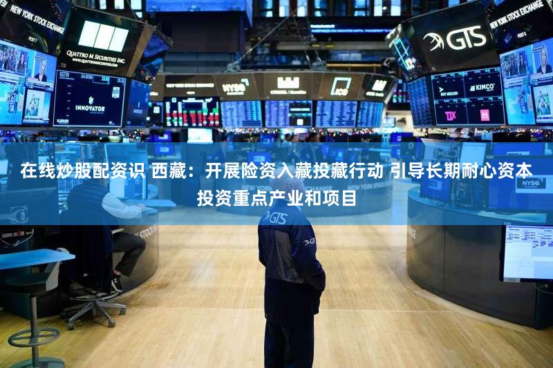 在线炒股配资识 西藏：开展险资入藏投藏行动 引导长期耐心资本投资重点产业和项目