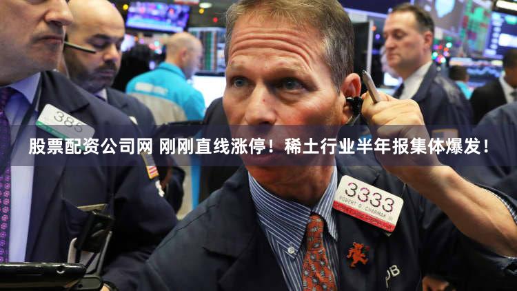 股票配资公司网 刚刚直线涨停！稀土行业半年报集体爆发！